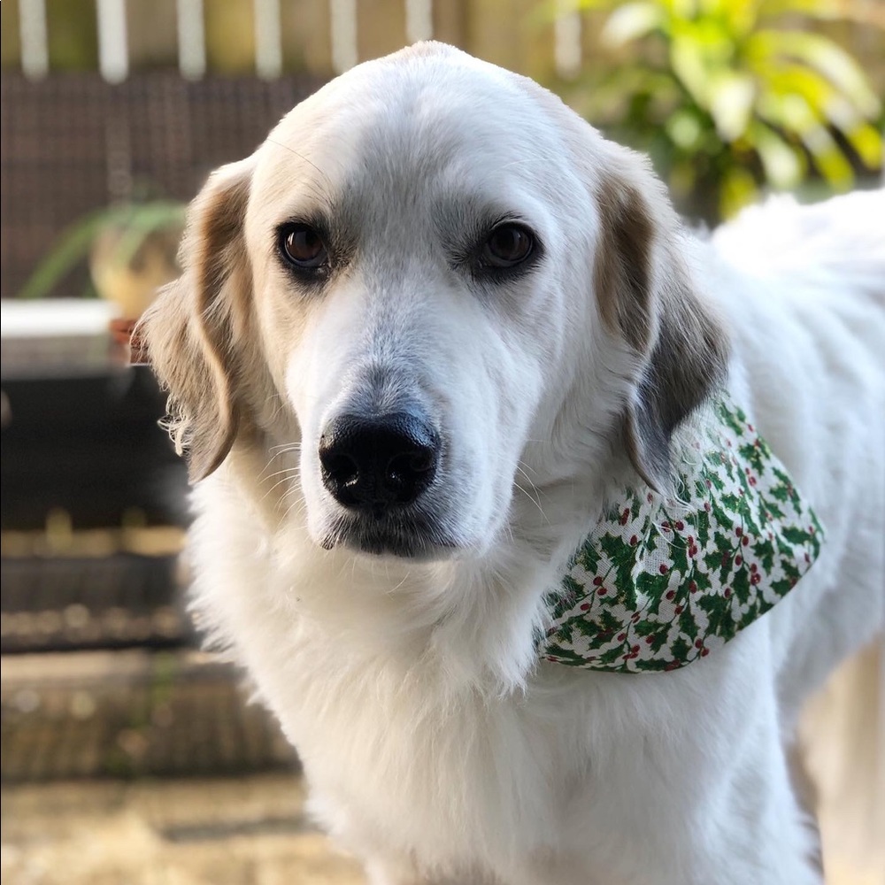 Meet your Posher, Lauryn